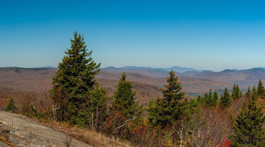 Colina dos Pinheiros