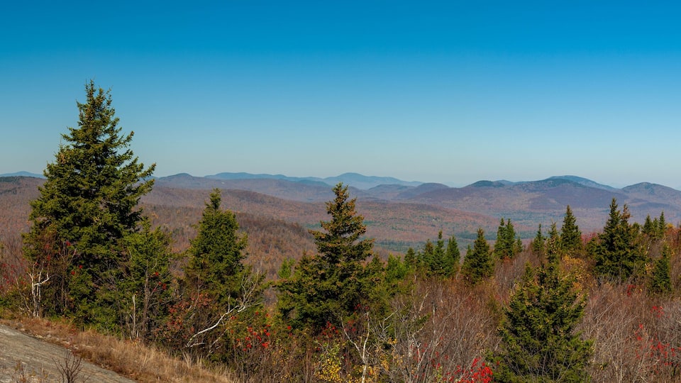 A mountainous landscape with evergreen trees and autumn foliage.