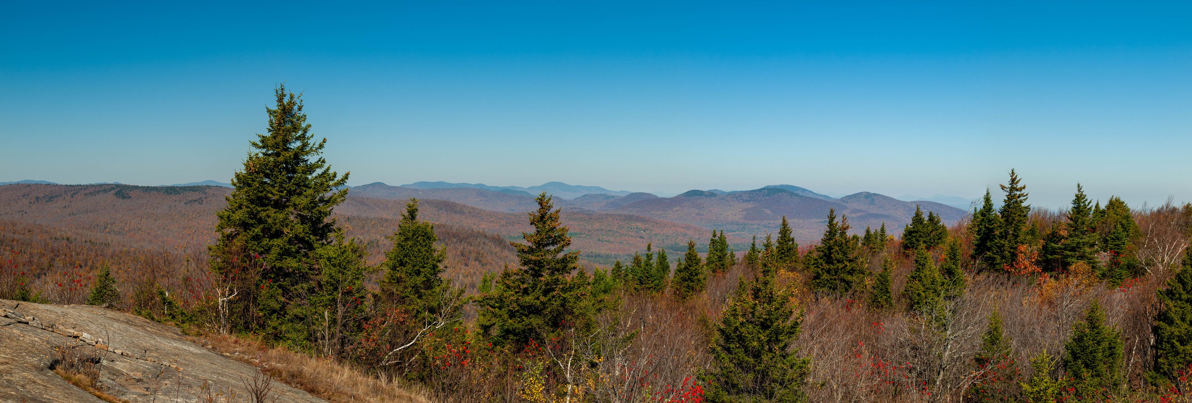 A mountainous landscape with evergreen trees and autumn foliage.