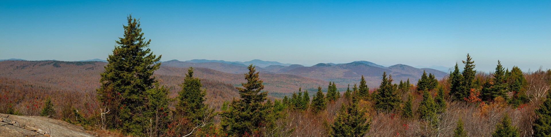 A mountainous landscape with evergreen trees and autumn foliage.