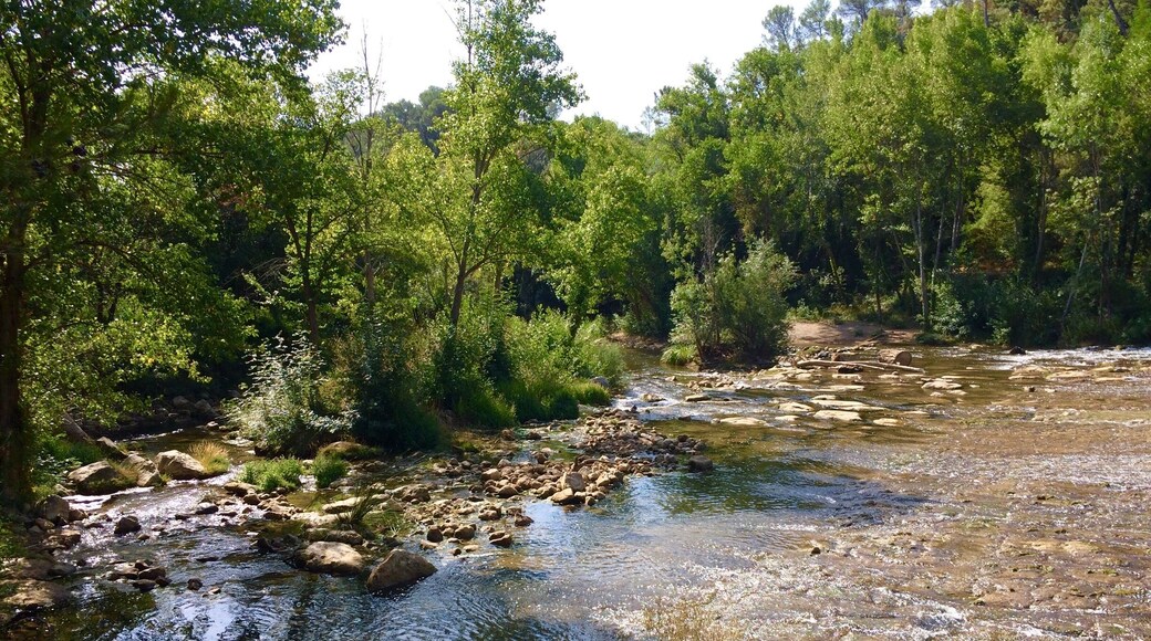 Plusieurs endroits longent la rivière d'Argens avant d'arriver au Vallon de Sourn.... :)