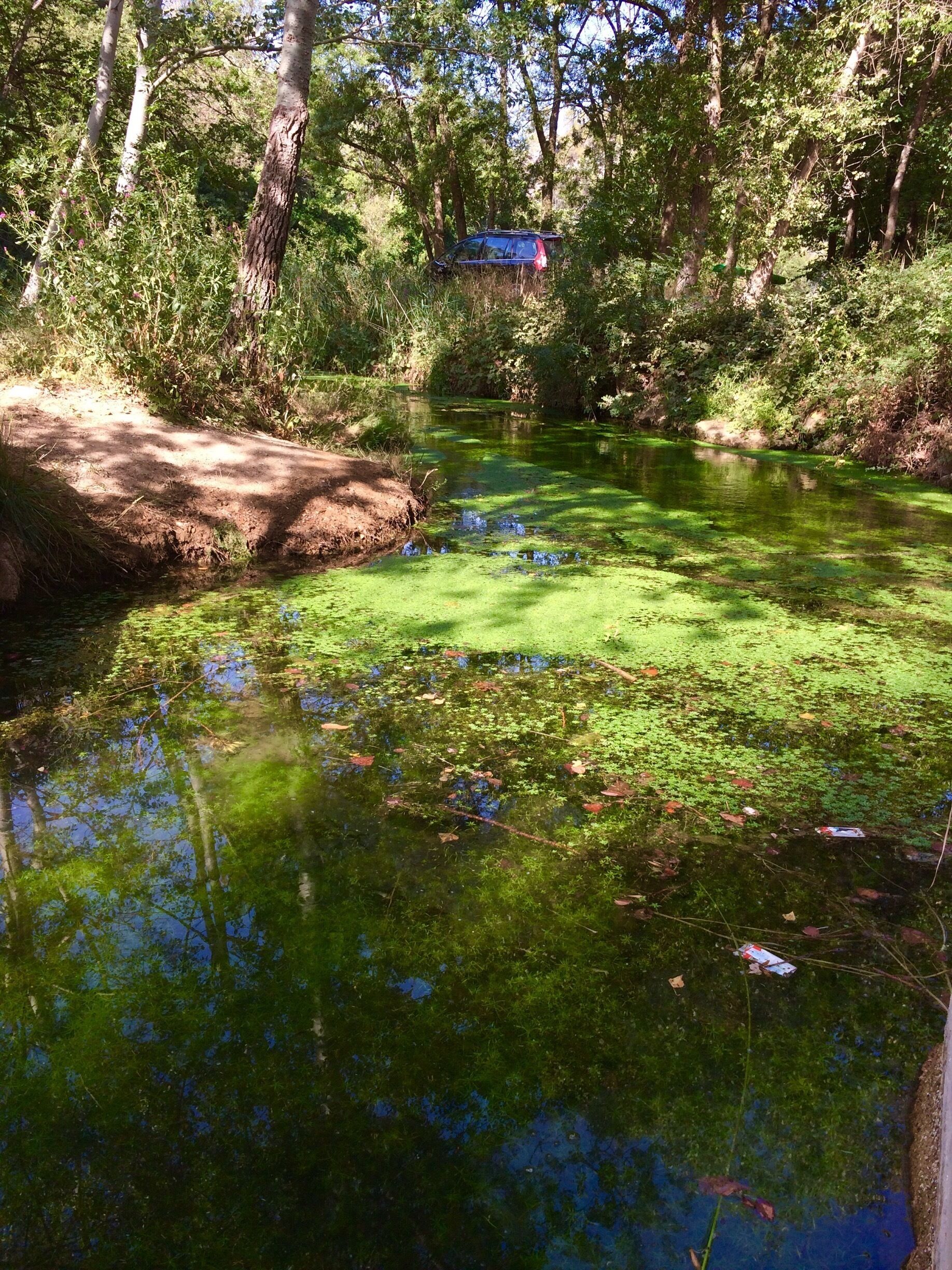 Plusieurs endroits longent la rivière d'Argens avant d'arriver au Vallon de Sourn.... :)