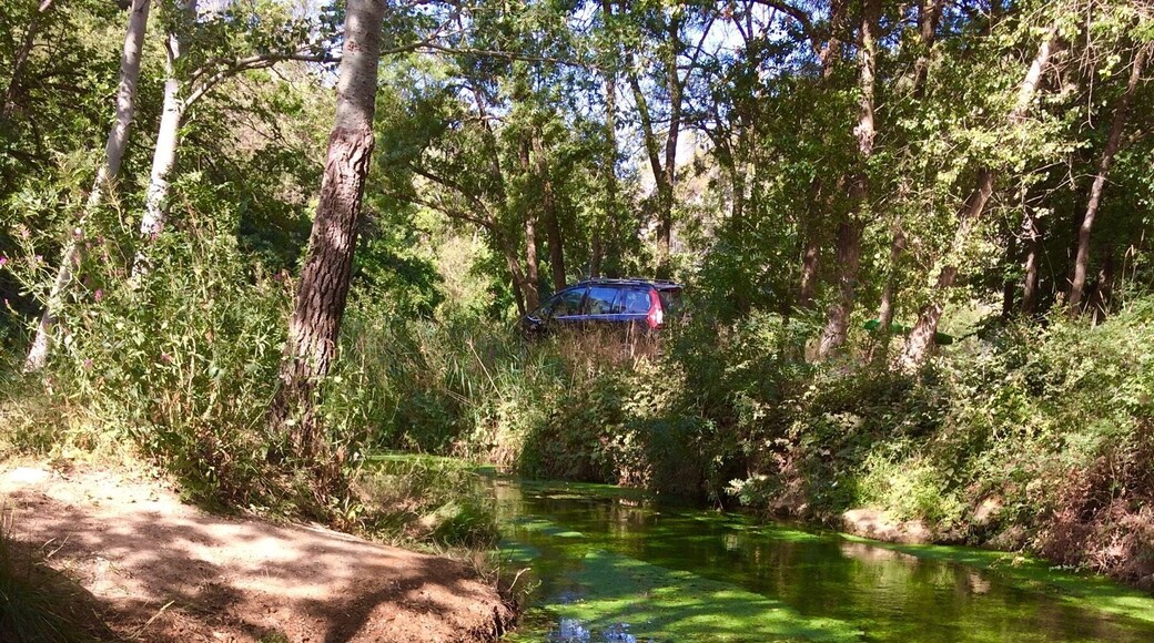 Plusieurs endroits longent la rivière d'Argens avant d'arriver au Vallon de Sourn.... :)