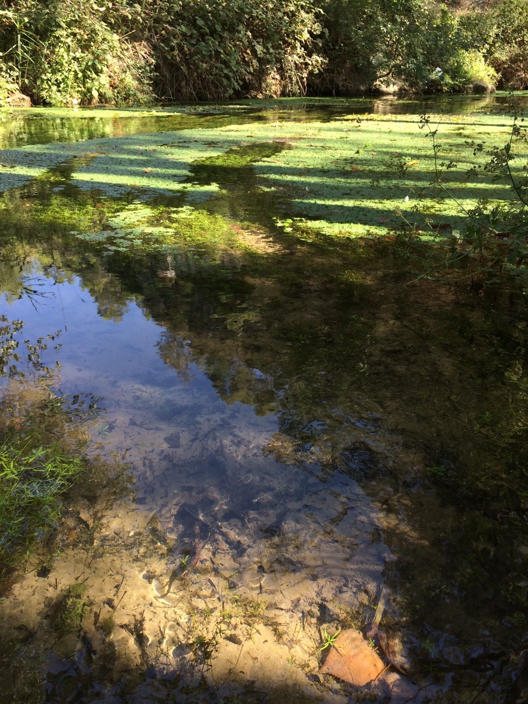 Plusieurs endroits longent la rivière d'Argens avant d'arriver au Vallon de Sourn.... :)