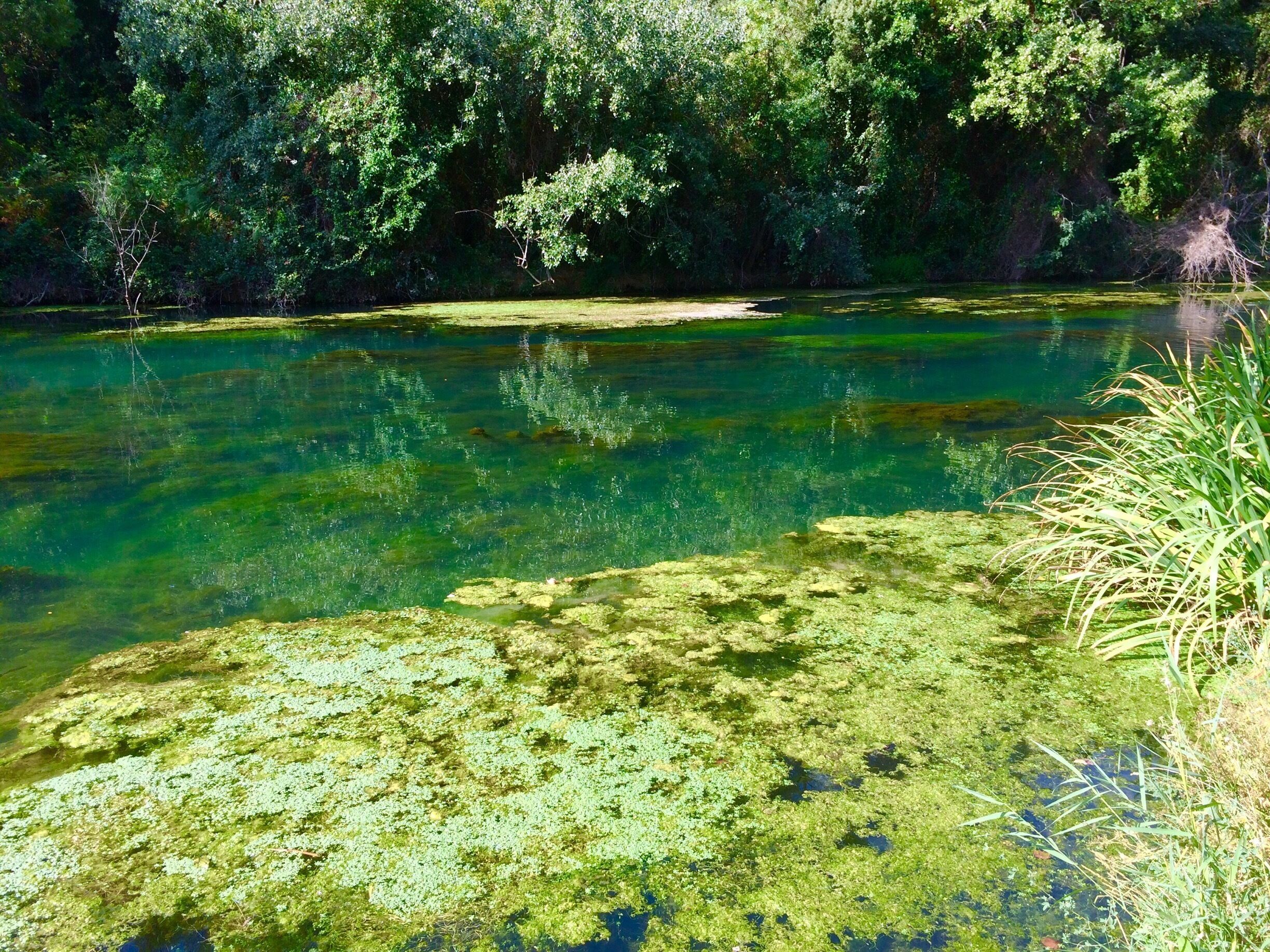 Plusieurs endroits longent la rivière d'Argens avant d'arriver au Vallon de Sourn.... :)