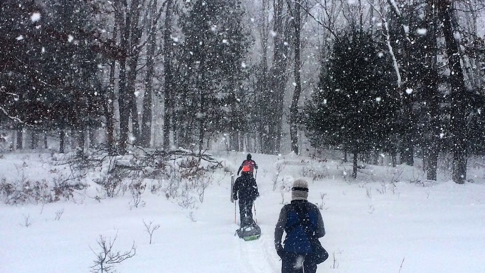 Two people snowshoeing in a snowy forest.