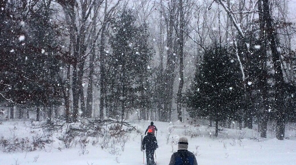The Bowman Lake trailhead is an absolutely magical area to backpack and camp during the winter months.