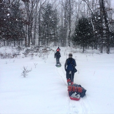 Two people snowshoeing in a snowy forest.
