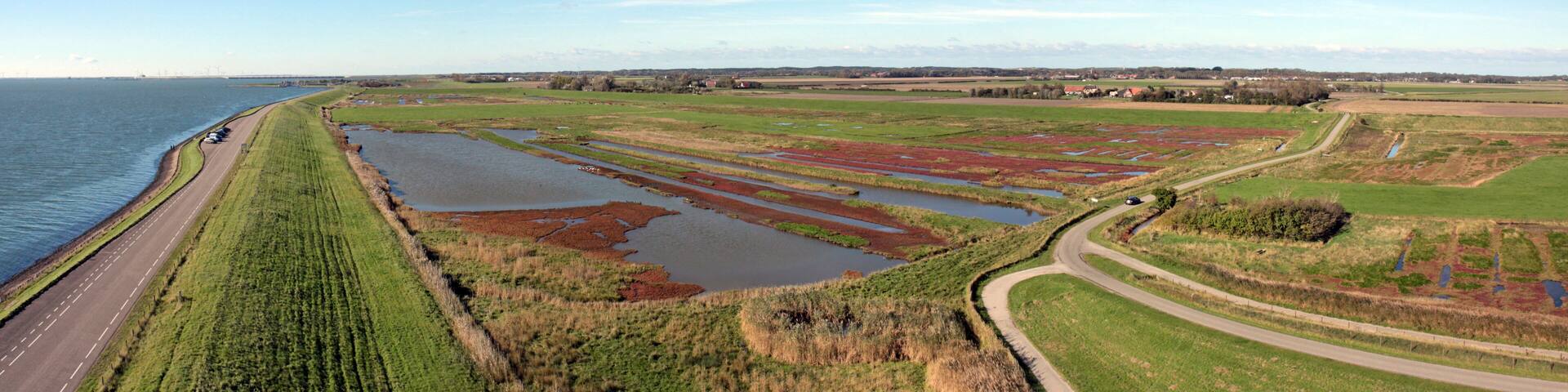 Brackish water inland wetlands along the Eastern Scheldt estuary, Netherlands
