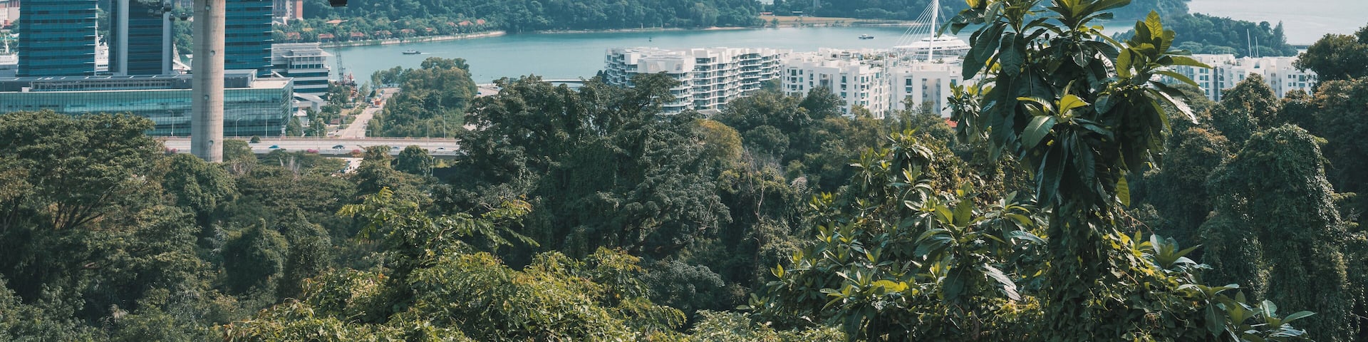 Singapore_MountFaber_6347787 (2)