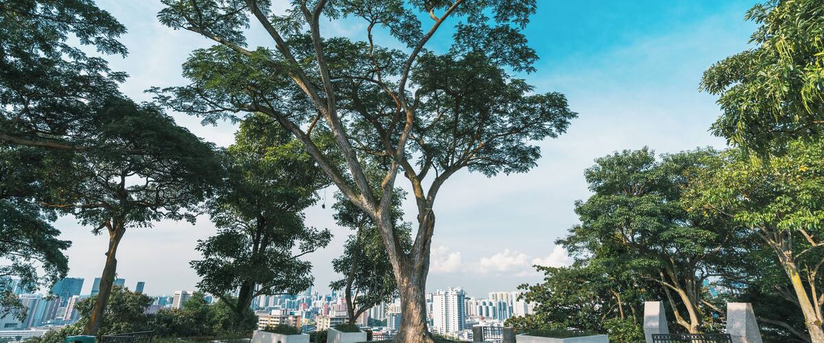 Singapore_MountFaber_6347787 (7)