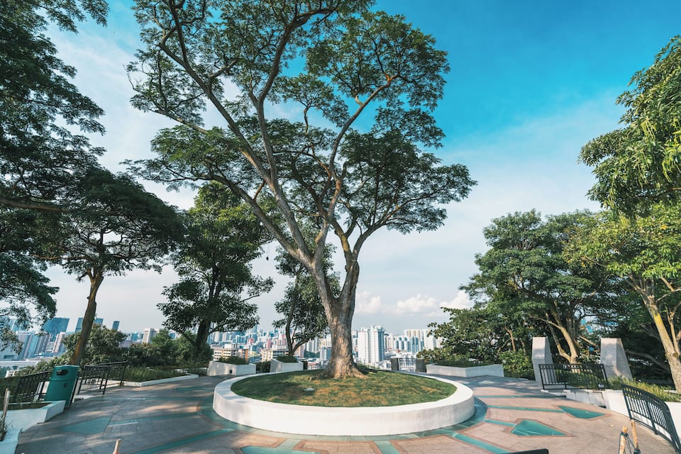 A park with a large tree, a circular walkway, and a city skyline in the background.
