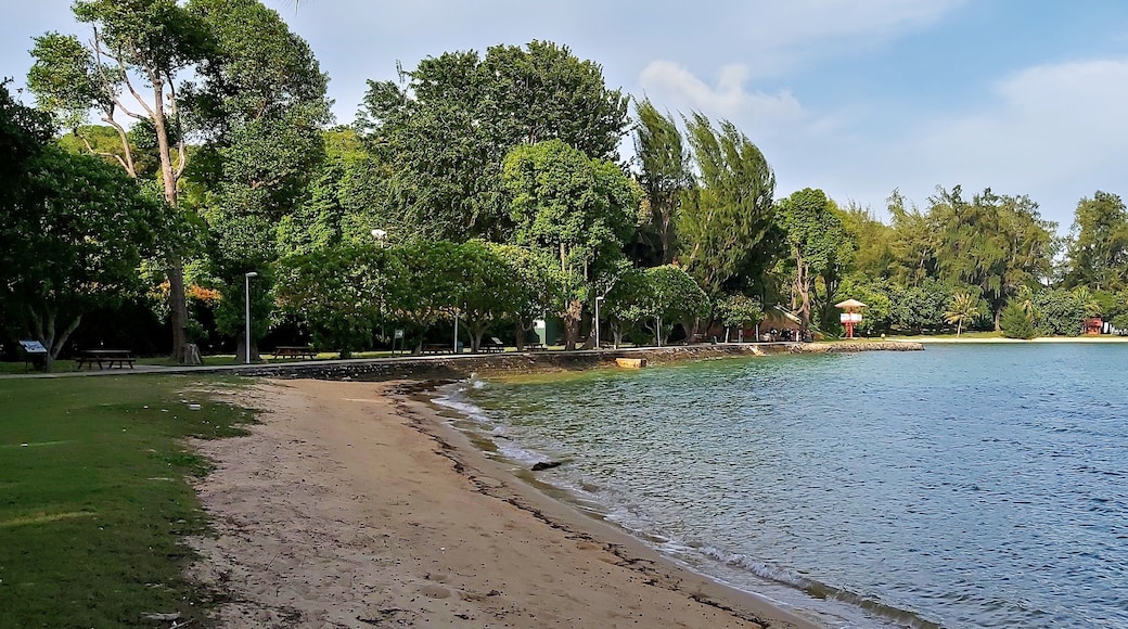 جزيرة سانت جون