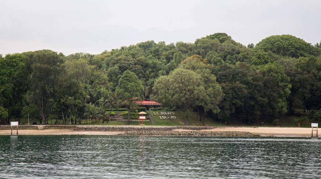 Accessible by ferry from Marina South Pier, St John's island is a quiet beach with clear waters and white sands a few kilometres south of Singapore and is known as one of Singapore's many beautiful offshore islands.
The island was once a quarantine centre for immigrants coming into Singapore who had cholera, beri-beri and leprosy. It was later used to house political prisoners and drug rehabilitators, and the high barbed wire fences of yesteryears are still present today.
Today, it is known as a place for the public to visit for a day trip away from city life. A paved bridge also allows you access to an adjacent beach known as Lazarus island, known for its tranquil waters and lagoons.
#lifeatexpedia