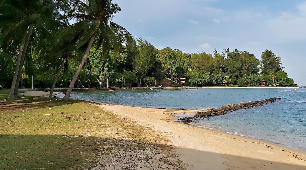 جزيرة سانت جون