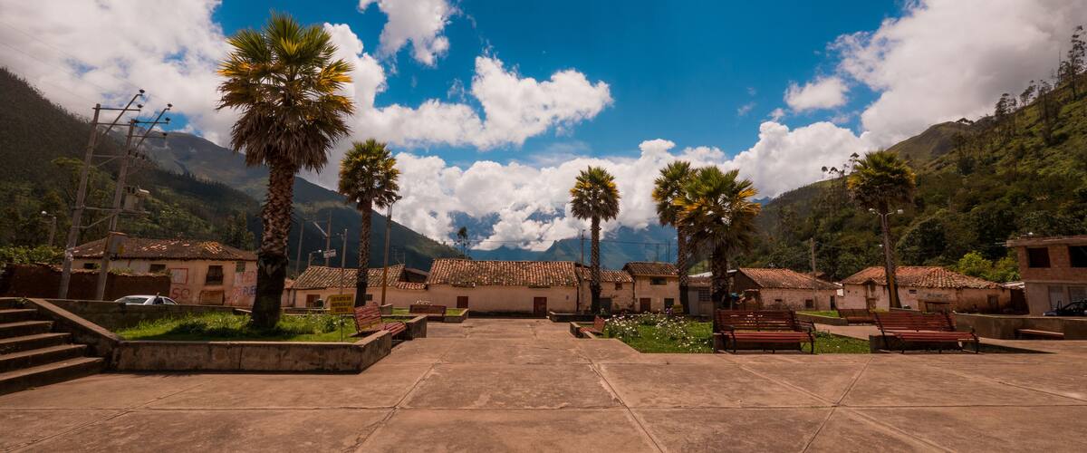 A plaza with palm trees, buildings, and mountains in the background.