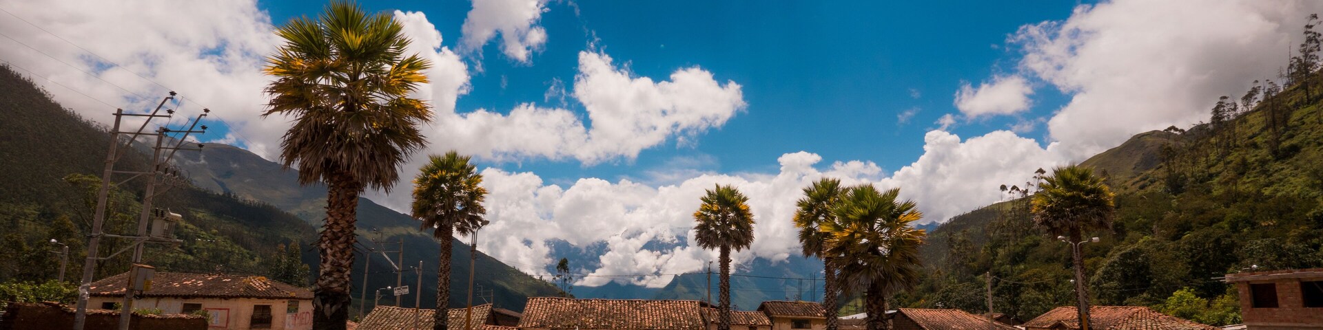 A plaza with palm trees, buildings, and mountains in the background.