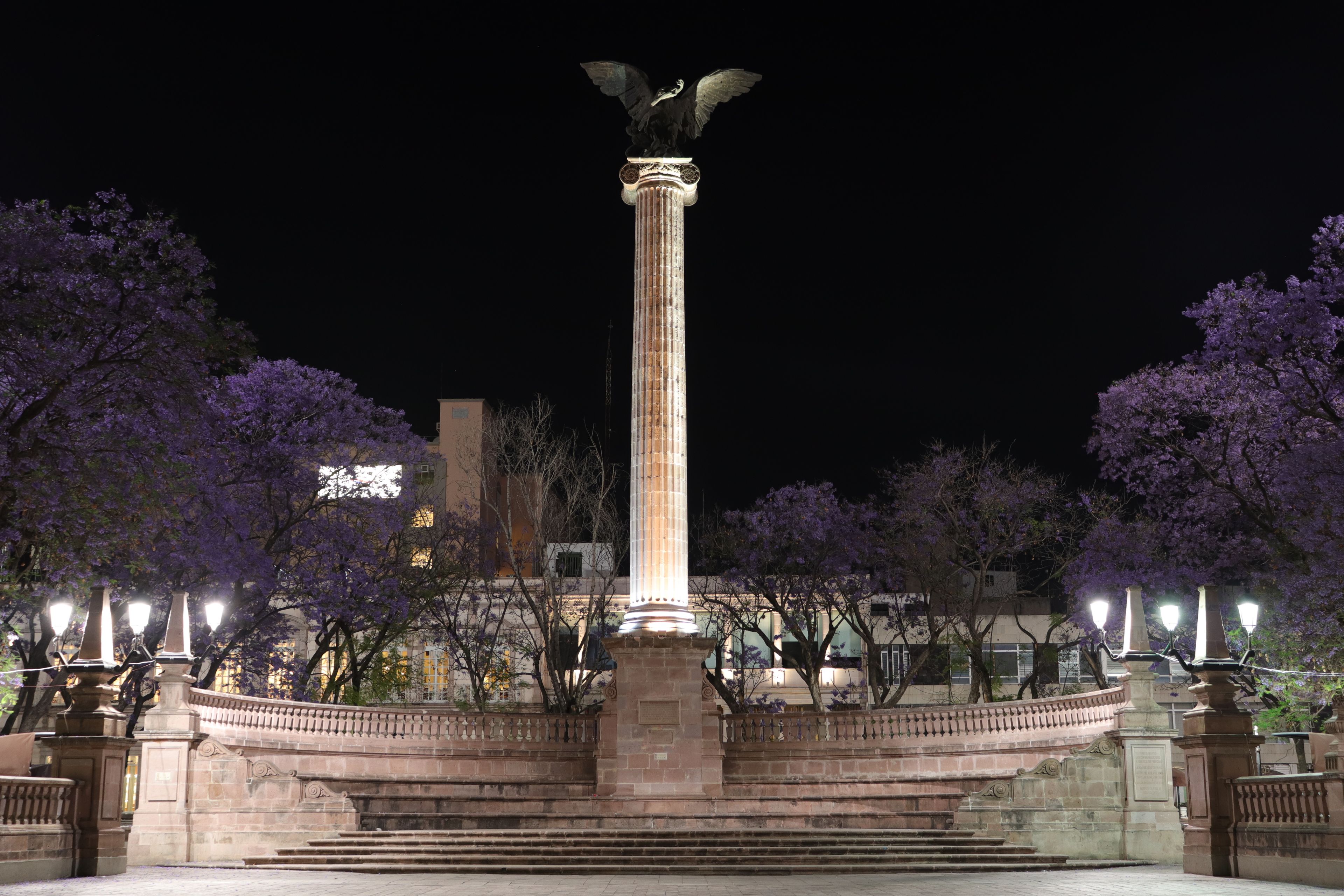 A night-time monument with an eagle statue, surrounded by trees with purple flowers and street lamps.