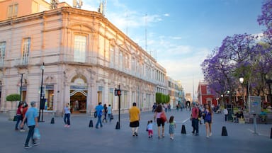 Un edificio histórico con arquitectura ornamentada, una plaza concurrida con peatones y árboles con flores moradas.