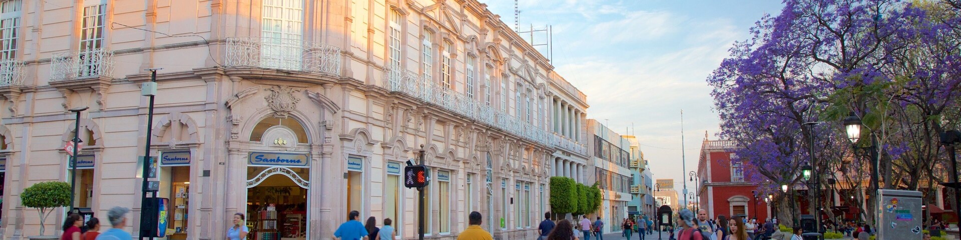 Un edificio histórico con arquitectura ornamentada, una plaza concurrida con peatones y árboles con flores moradas.