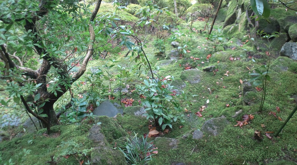 當麻寺 西南院 庭園
