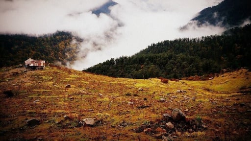 Near Temi Tea Garden, Ravangla, Sikkim, India
#colorful #clouds #teagarden #nature #greenery
