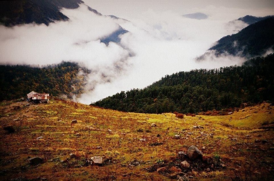 Near Temi Tea Garden, Ravangla, Sikkim, India
#colorful #clouds #teagarden #nature #greenery