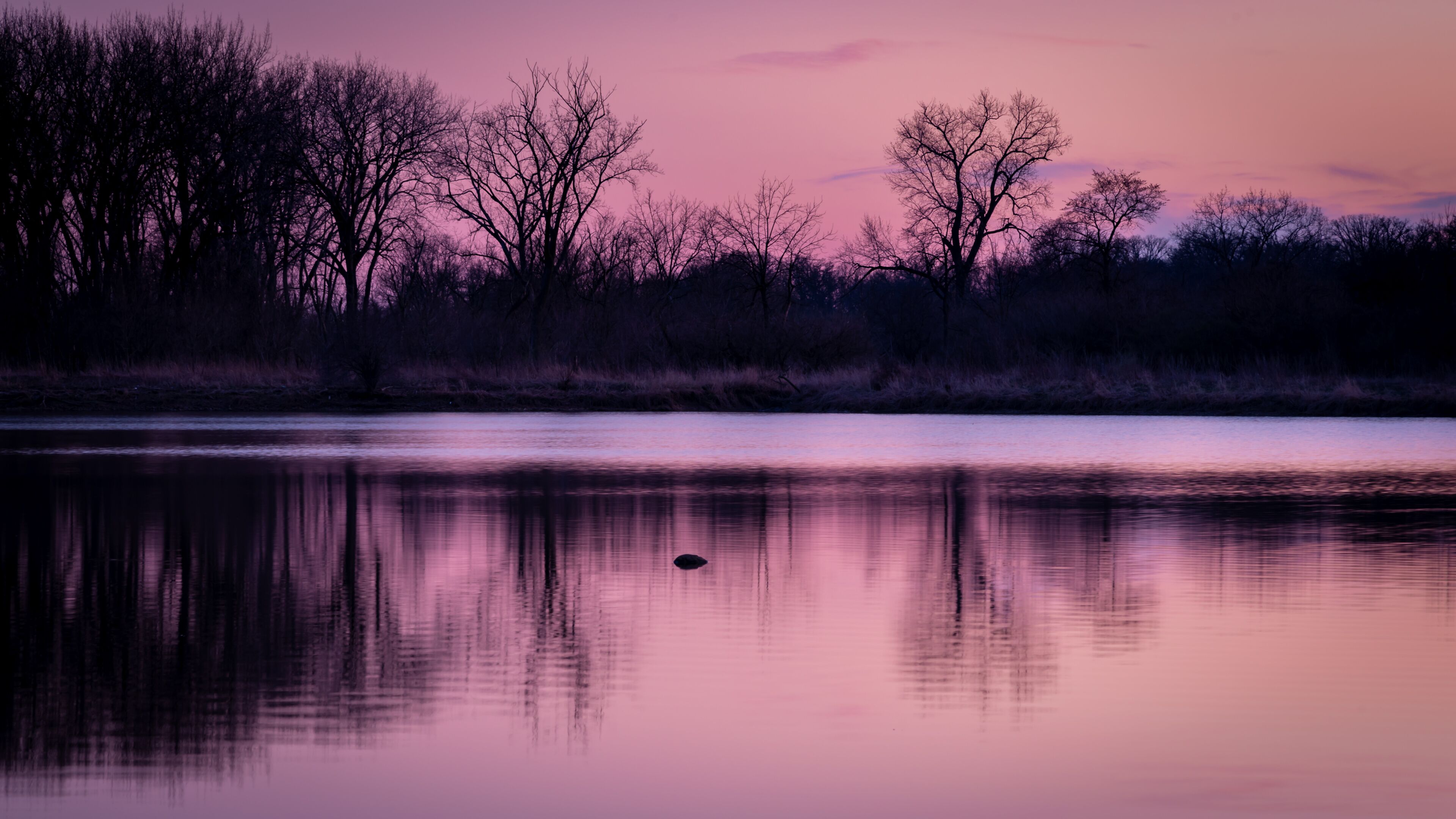 evening light over a lake