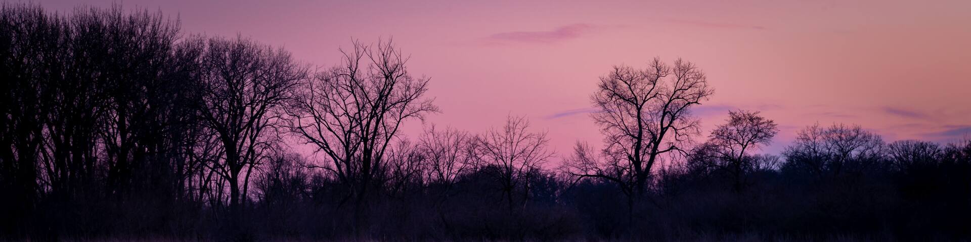 evening light over a lake