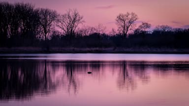 evening light over a lake