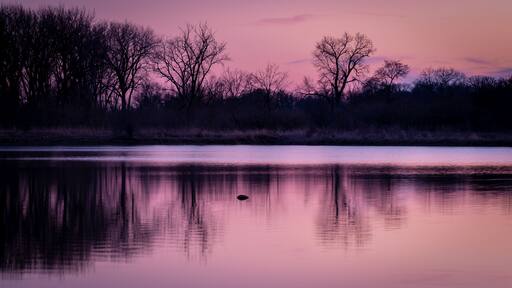 evening light over a lake