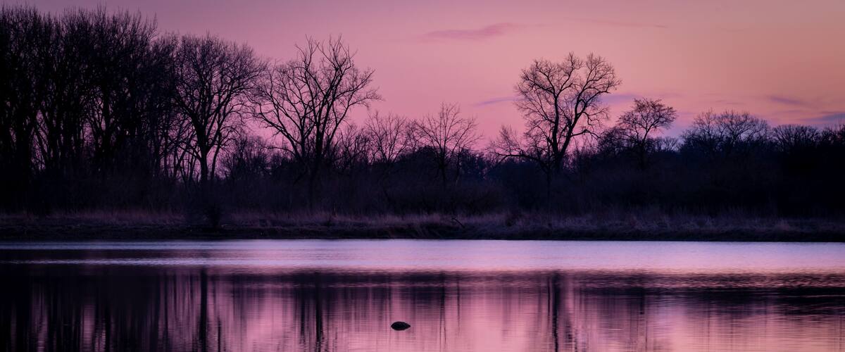 A calm lake at dusk with silhouetted trees and a clear reflection.