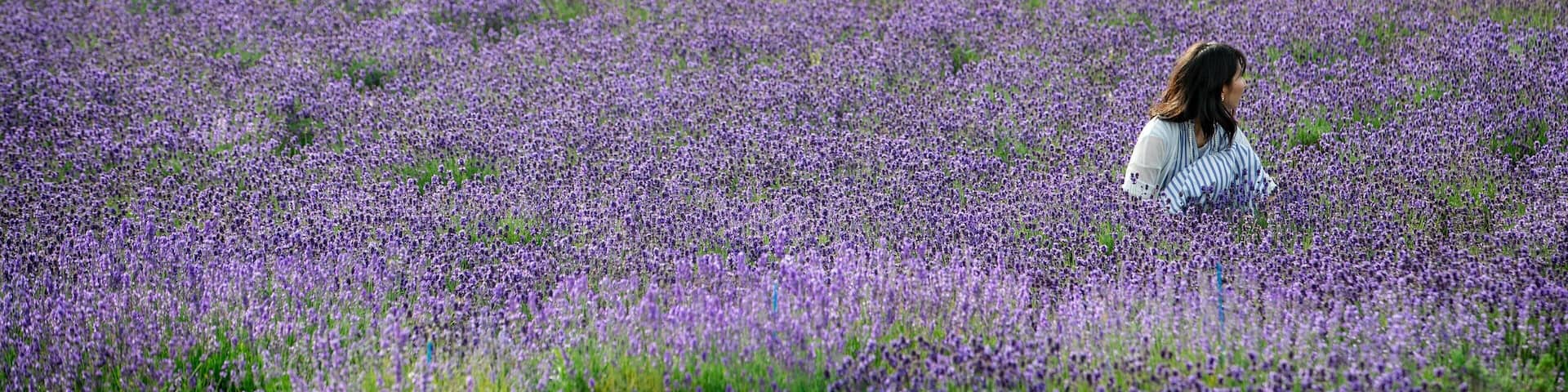 Nakafurano showing wildflowers as well as an individual femail