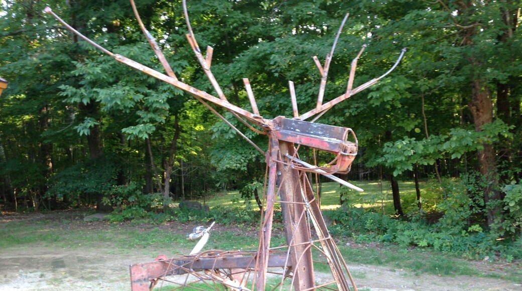 Brandt Lake Association social at Buckskin Lodge.
This Adirondack Moose has cool crankshaft and exhaust tail!