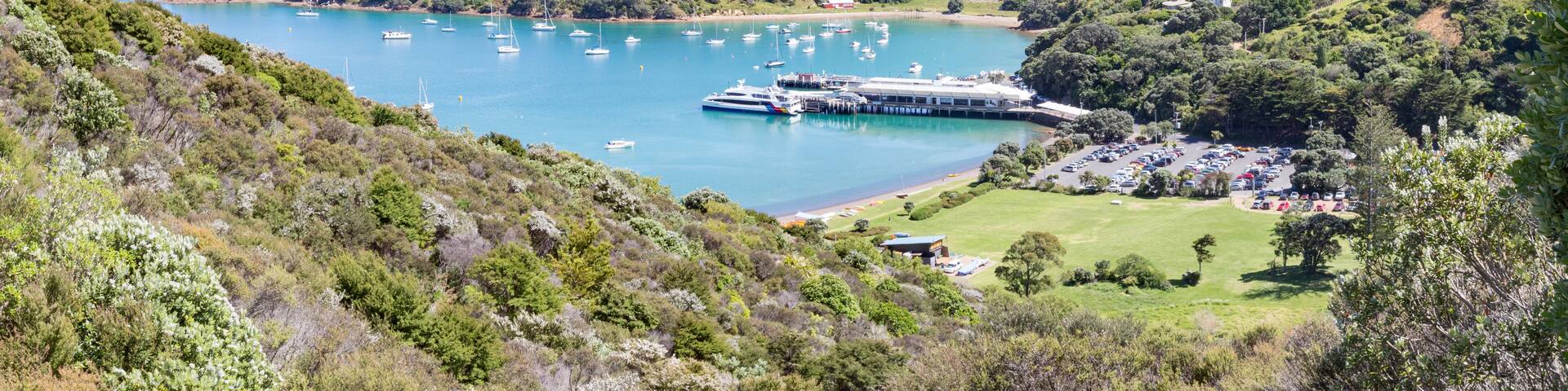 A coastal bay with numerous boats, a ferry dock, and a parking area surrounded by lush greenery and hills.