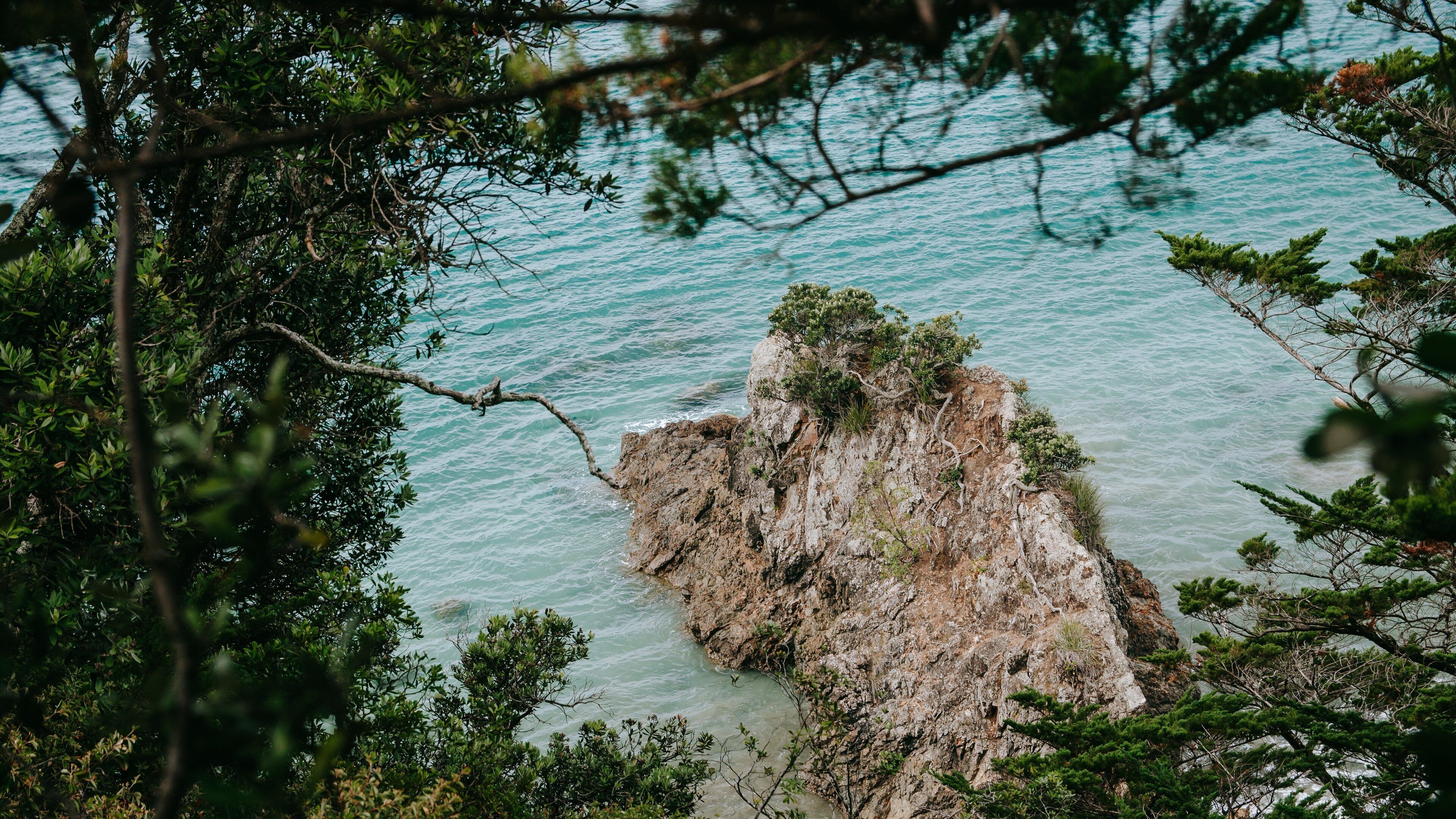 Waiheke Island featuring general coastal views and rugged coastline