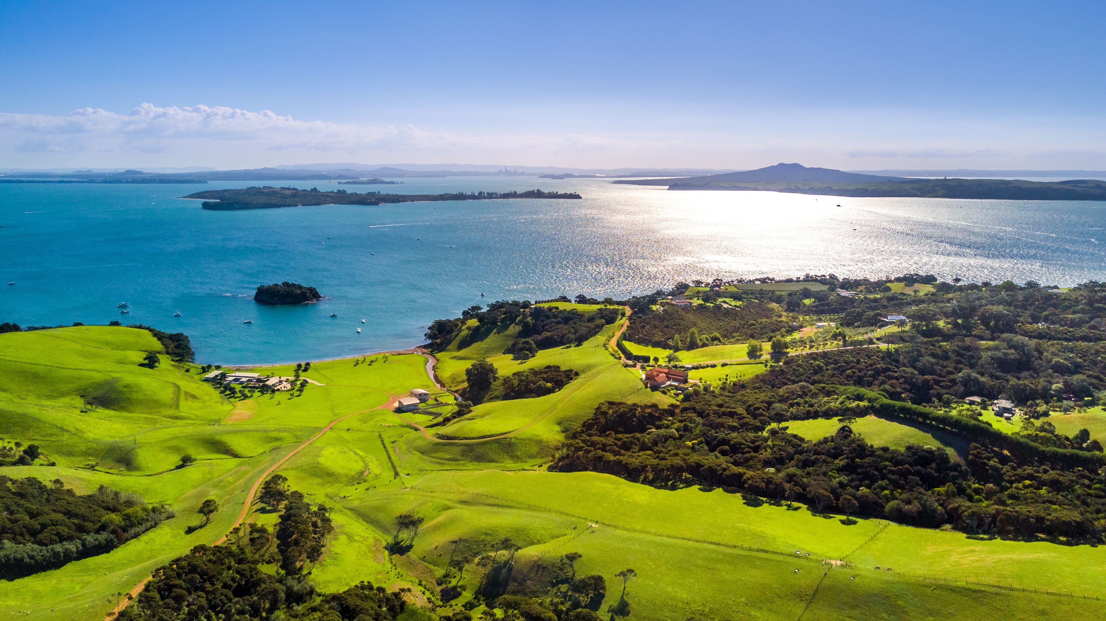 Région d'Auckland