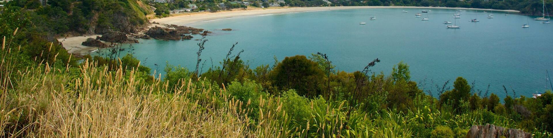 Waiheke Island Hotel Guide