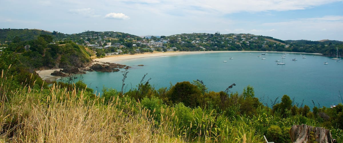 A coastal landscape with a sandy beach, a bay filled with boats, and a hill with scattered houses.