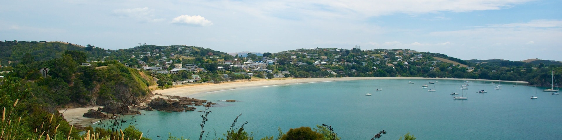 A coastal landscape with a sandy beach, a bay filled with boats, and a hill with scattered houses.