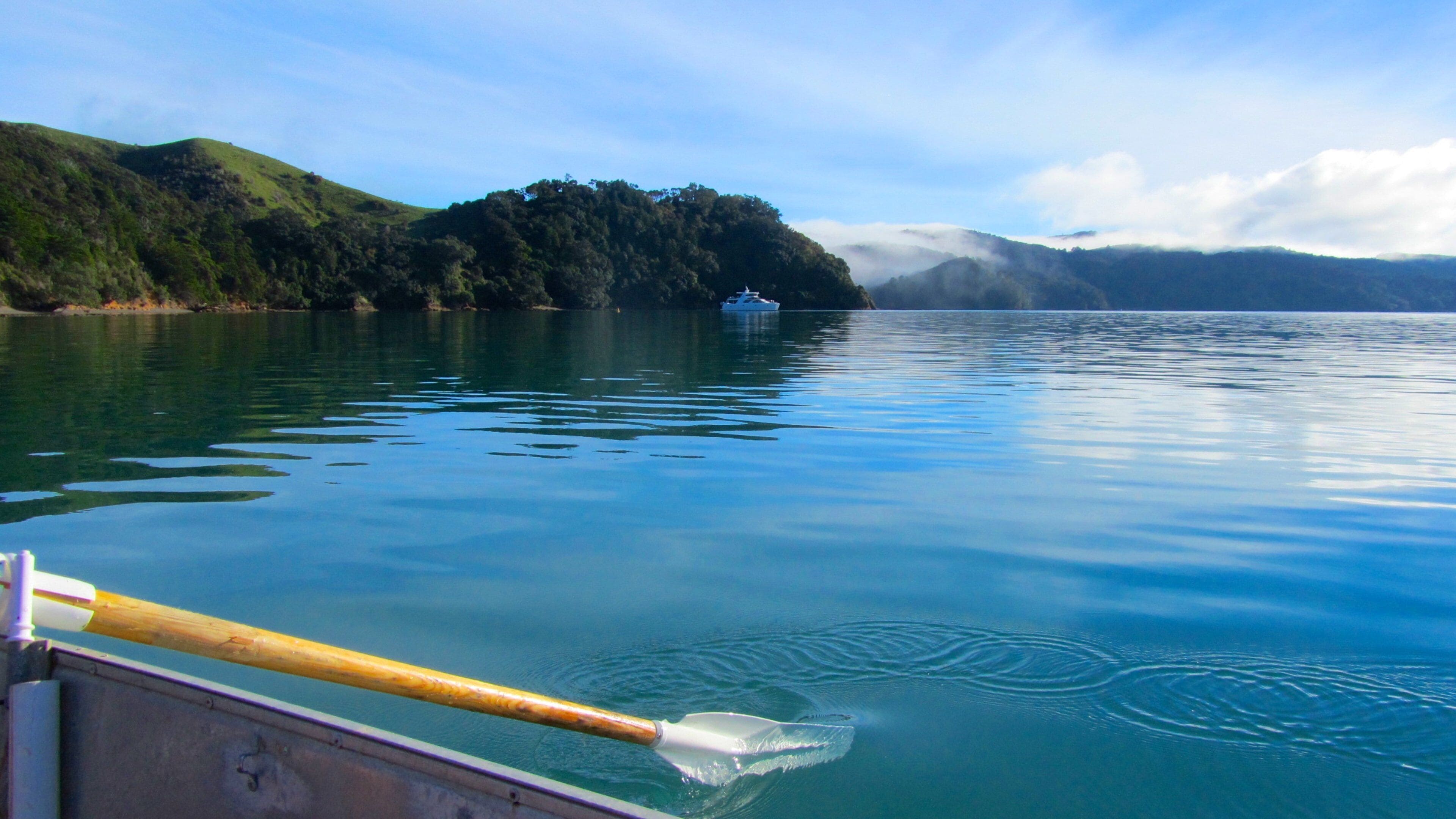 Waiheke Island which includes general coastal views, kayaking or canoeing and island images
