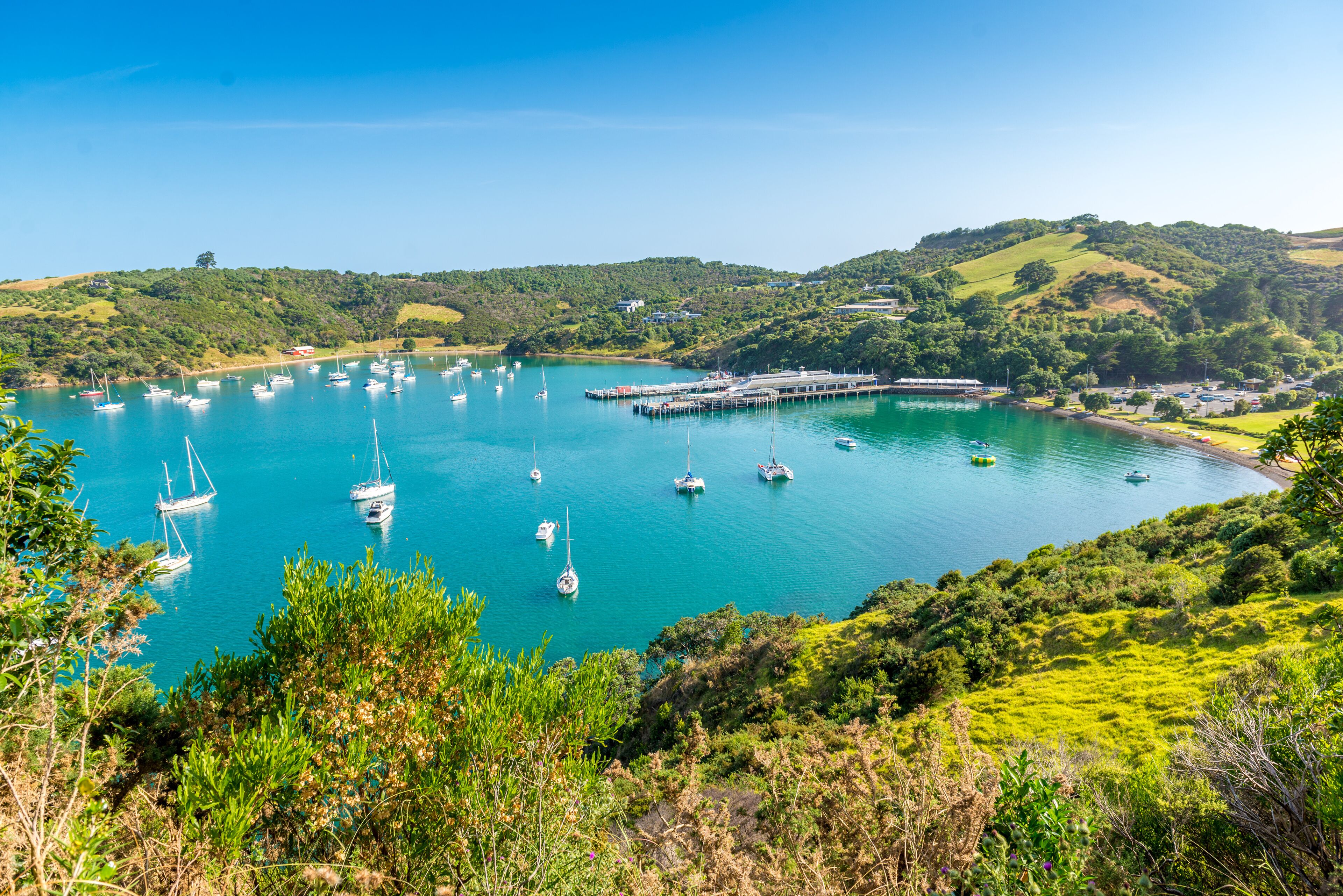 A coastal bay with numerous sailboats anchored in calm turquoise waters, surrounded by lush green hills and a clear blue sky.