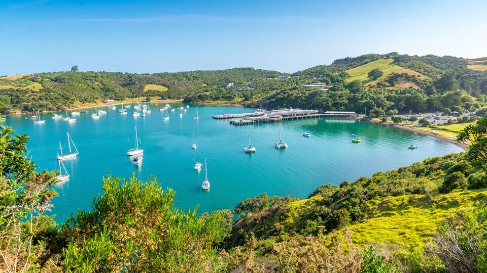 A coastal bay with numerous sailboats anchored in calm turquoise waters, surrounded by lush green hills and a clear blue sky.