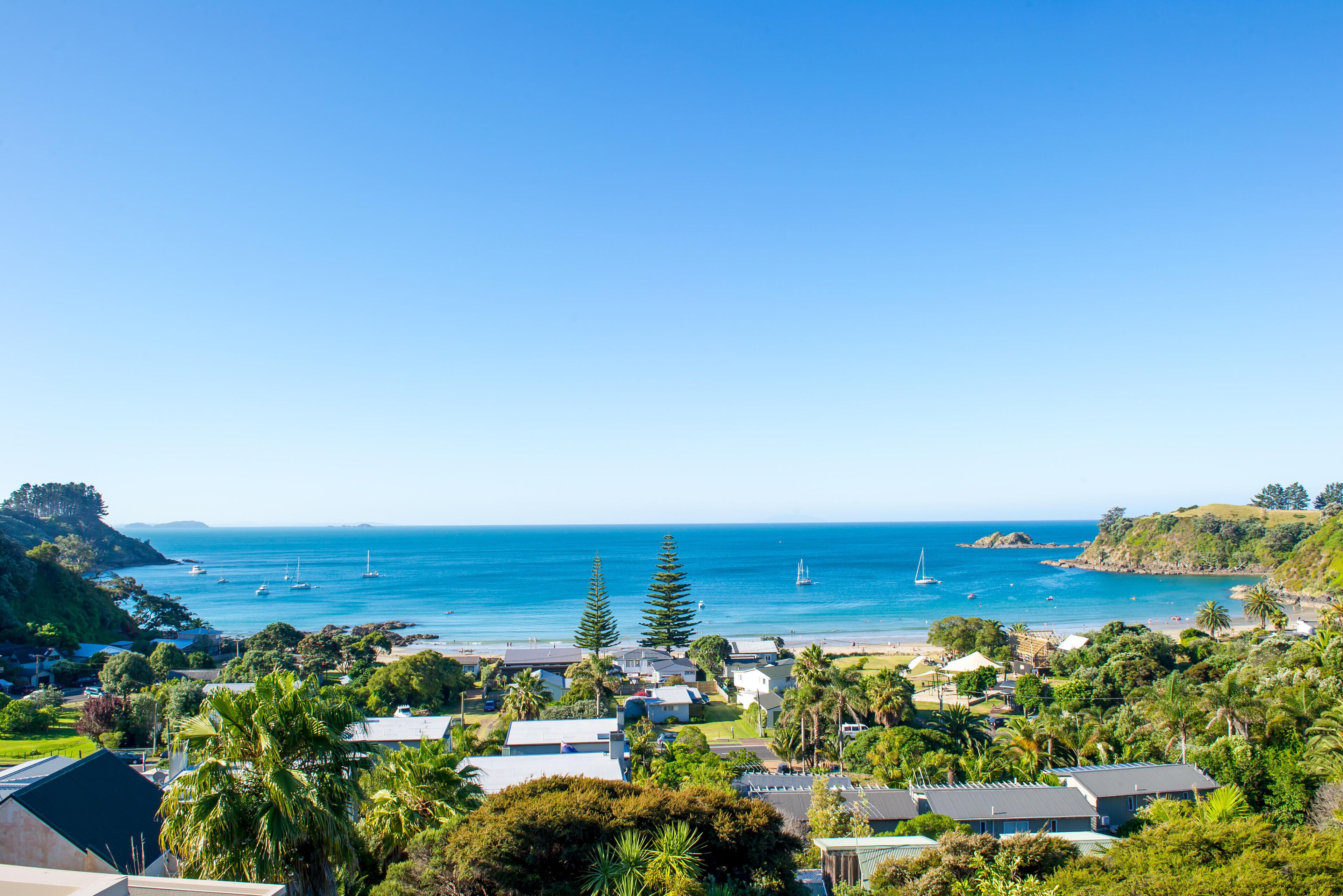A coastal town with houses, palm trees, and sailboats on the water.