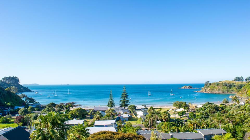 A coastal town with houses, palm trees, and sailboats on the water.