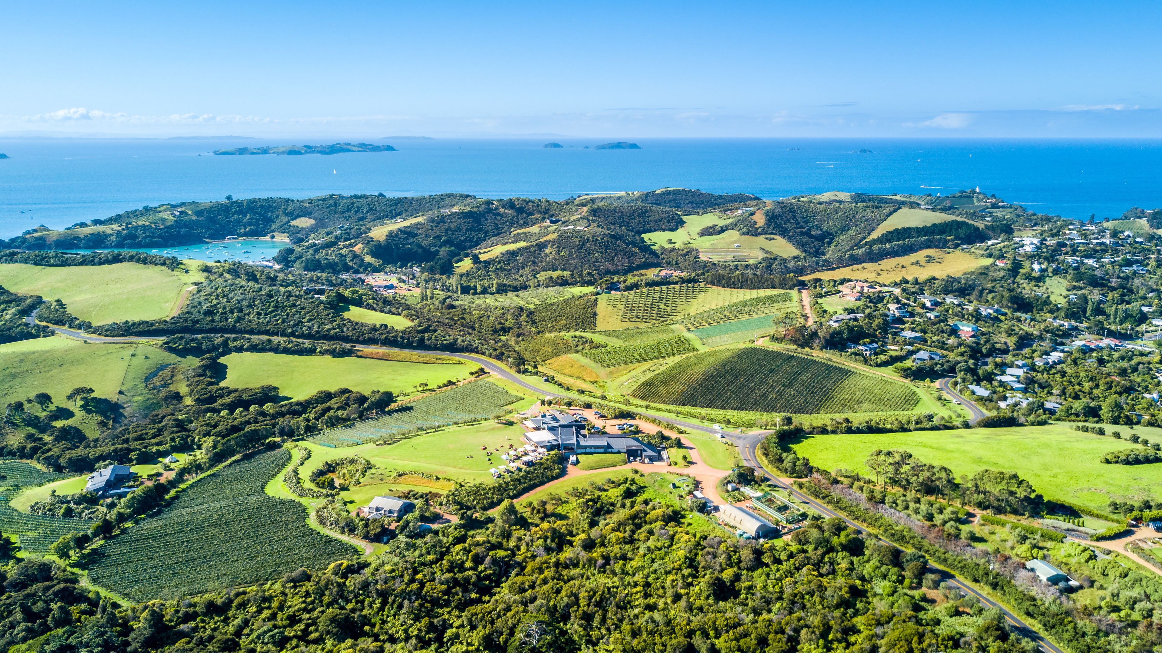 An aerial view of a coastal landscape with vineyards, a small town, and the ocean.