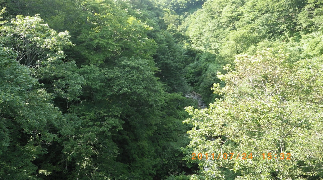 鍋越峠橋から上流