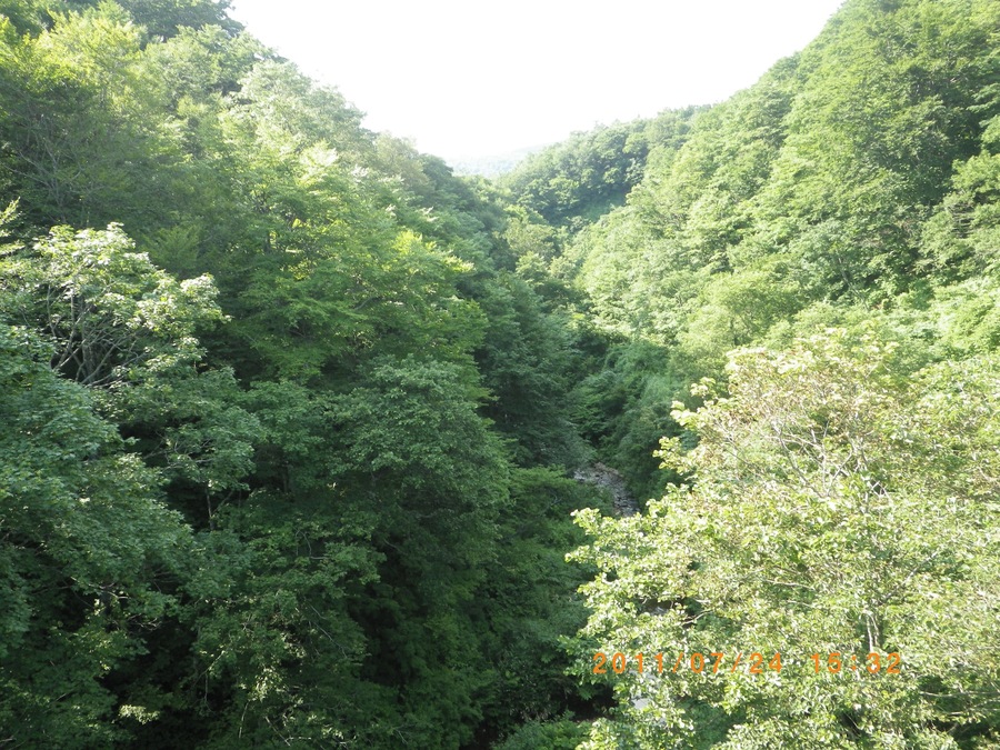 鍋越峠橋から上流
