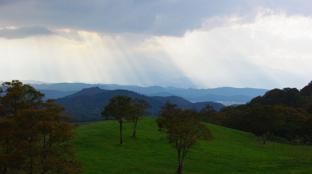 宝栄牧場(鍋越峠)Houei Ranch nearby Nabekoshi Pass