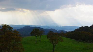 A green hillside with trees and distant mountains under a cloudy sky.